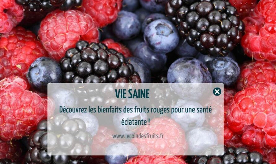 Les bienfaits des fruits rouges : une source de santé inestimable