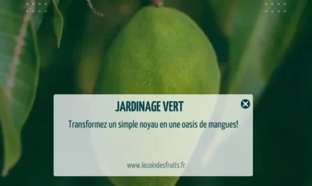 comment faire germer un noyau de mangue