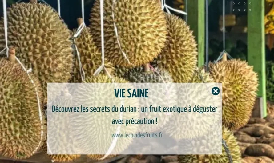 Durian danger : les risques méconnus liés à ce fruit