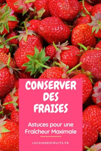 Conservez vos fraises craquantes : les astuces à appliquer dès maintenant